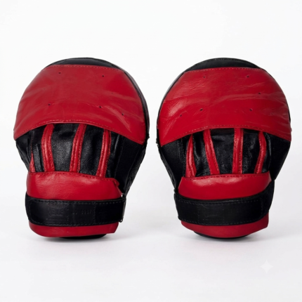 Focus Mitts