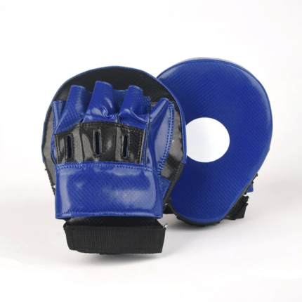 Focus Mitts